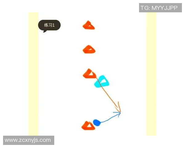 杭州飞盘队区域防守分析与战术得失探讨